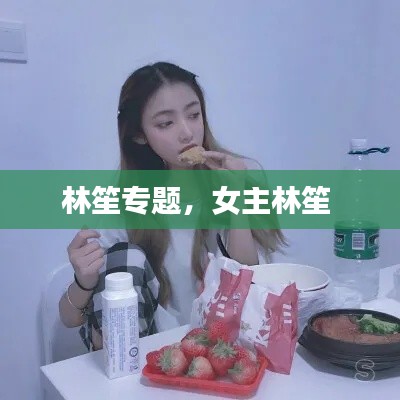 林笙專題，女主林笙 