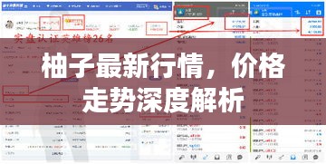 柚子最新行情，價(jià)格走勢(shì)深度解析
