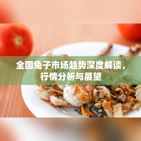 全國兔子市場趨勢深度解讀，行情分析與展望