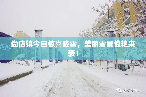 尚店鎮(zhèn)今日驚喜降雪，美麗雪景驚艷來襲！