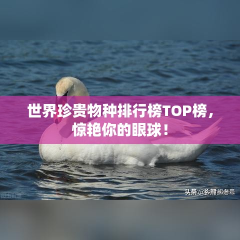 世界珍貴物種排行榜TOP榜，驚艷你的眼球！