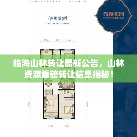 臨海山林轉讓最新公告，山林資源重磅轉讓信息揭秘！