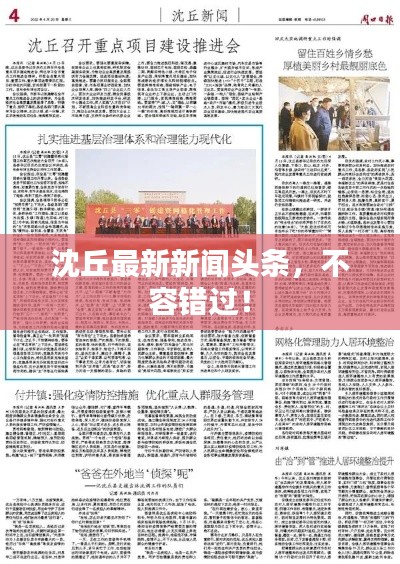 沈丘最新新聞頭條，不容錯過！