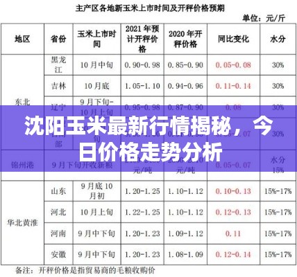 沈陽(yáng)玉米最新行情揭秘，今日價(jià)格走勢(shì)分析