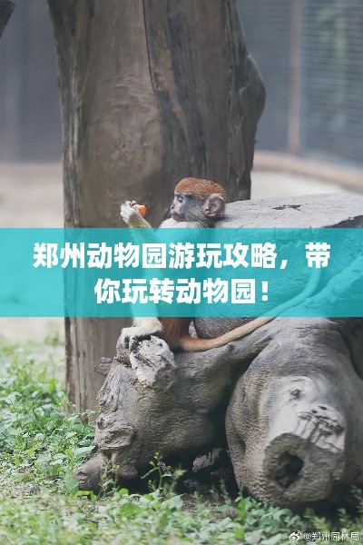 鄭州動物園游玩攻略，帶你玩轉(zhuǎn)動物園！