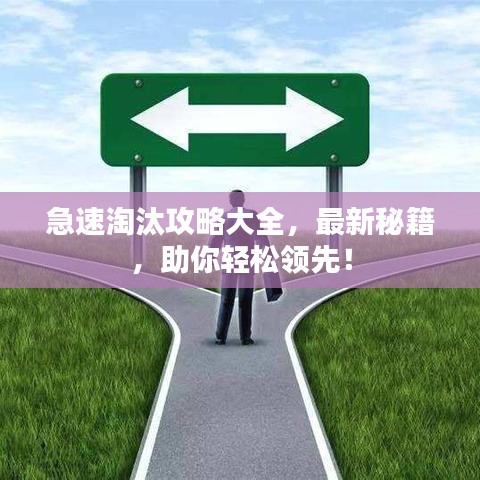 急速淘汰攻略大全，最新秘籍，助你輕松領(lǐng)先！