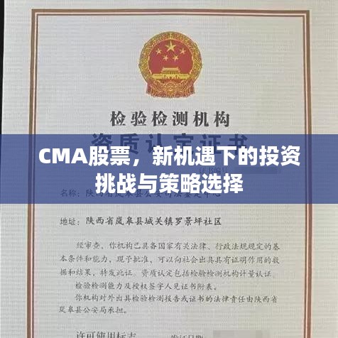 CMA股票，新機(jī)遇下的投資挑戰(zhàn)與策略選擇