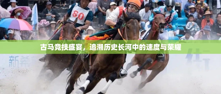 古馬競技盛宴，追溯歷史長河中的速度與榮耀