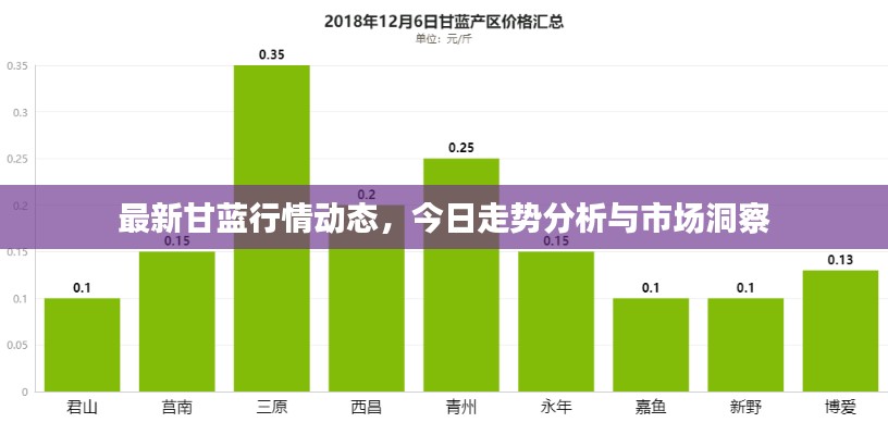 最新甘藍(lán)行情動態(tài)，今日走勢分析與市場洞察