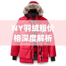 NY羽絨服價格深度解析，了解真實價格，選購更明智！