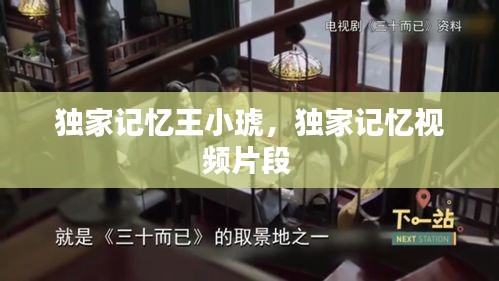 獨家記憶王小琥，獨家記憶視頻片段 