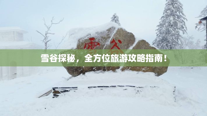 雪谷探秘，全方位旅游攻略指南！