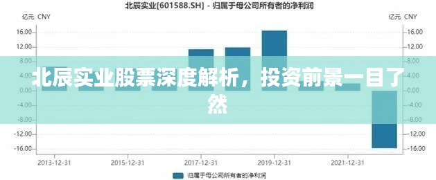 北辰實(shí)業(yè)股票深度解析，投資前景一目了然