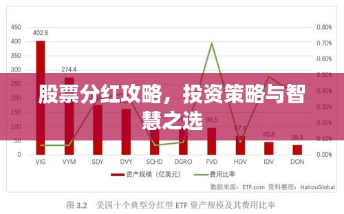 股票分紅攻略，投資策略與智慧之選