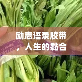 勵志語錄膠帶，人生的黏合劑，引領你走向成功之路