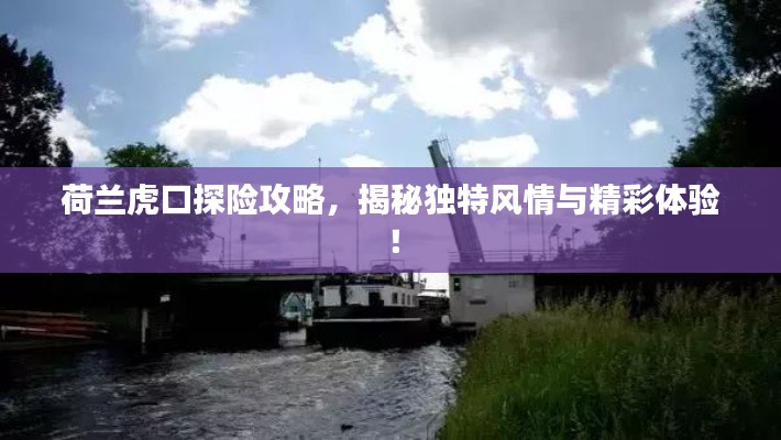 荷蘭虎口探險攻略，揭秘獨特風(fēng)情與精彩體驗！