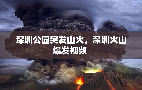 深圳公園突發(fā)山火，深圳火山爆發(fā)視頻 