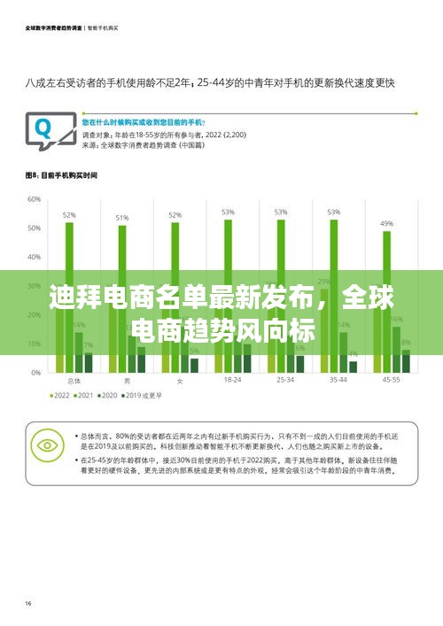 迪拜電商名單最新發(fā)布，全球電商趨勢風(fēng)向標(biāo)