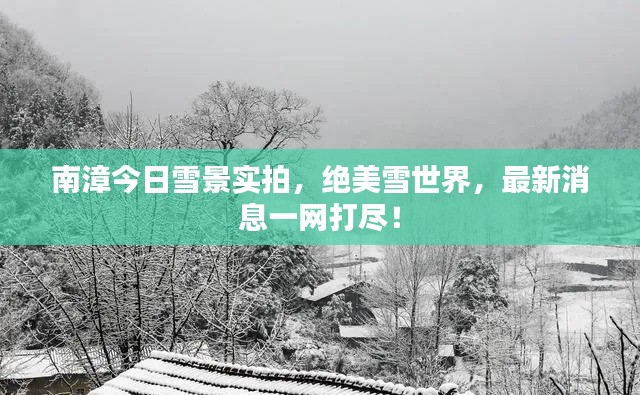 南漳今日雪景實拍，絕美雪世界，最新消息一網(wǎng)打盡！