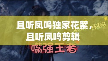 且聽鳳鳴獨家花絮，且聽鳳鳴剪輯 