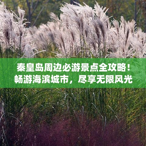 秦皇島周邊必游景點全攻略！暢游海濱城市，盡享無限風光