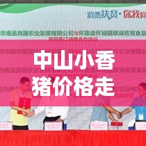 中山小香豬價(jià)格走勢(shì)大揭秘，最新行情分析！