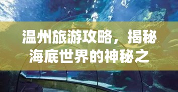 溫州旅游攻略，揭秘海底世界的神秘之旅