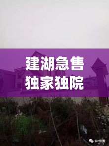 建湖急售獨家獨院，建湖哪里有30到40萬的房子 