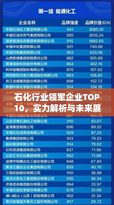 石化行業(yè)領(lǐng)軍企業(yè)TOP10，實力解析與未來展望