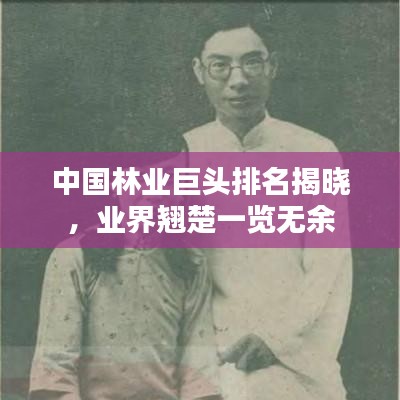 中國林業(yè)巨頭排名揭曉，業(yè)界翹楚一覽無余