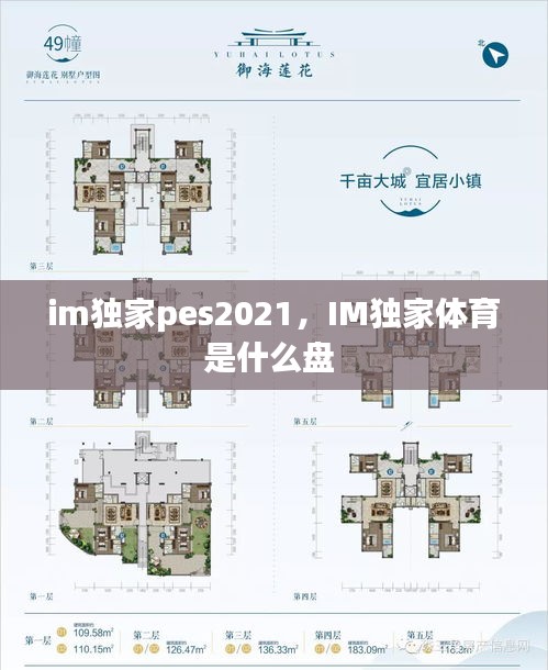 im獨(dú)家pes2021，IM獨(dú)家體育是什么盤 