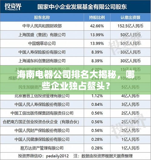 海南電器公司排名大揭秘，哪些企業(yè)獨(dú)占鰲頭？