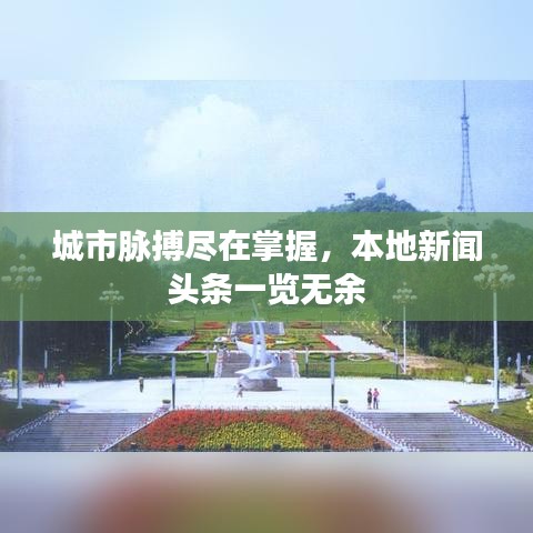 城市脈搏盡在掌握，本地新聞頭條一覽無余