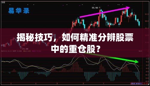 揭秘技巧，如何精準(zhǔn)分辨股票中的重倉股？