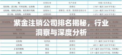 紫金注銷公司排名揭秘，行業(yè)洞察與深度分析