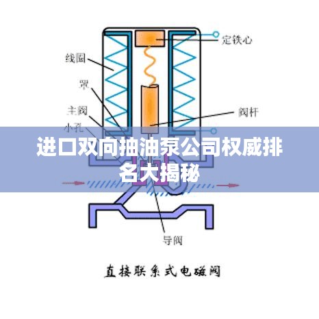 進口雙向抽油泵公司權威排名大揭秘