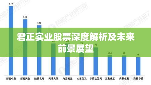 君正實業(yè)股票深度解析及未來前景展望