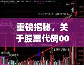 重磅揭秘，關于股票代碼002294的全面深度解讀與分析