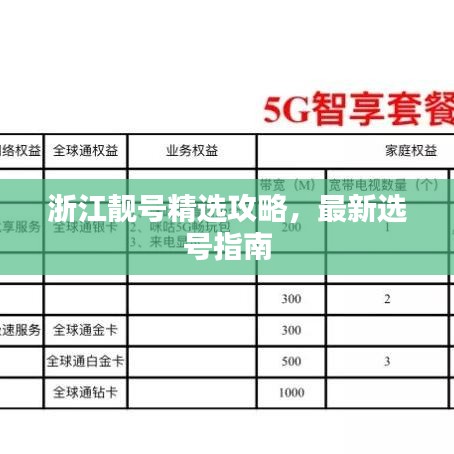 浙江靚號精選攻略，最新選號指南