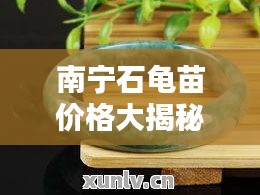 南寧石龜苗價(jià)格大揭秘，最新行情分析！