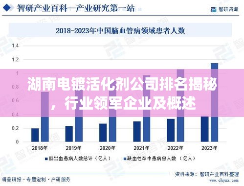 湖南電鍍活化劑公司排名揭秘，行業(yè)領(lǐng)軍企業(yè)及概述