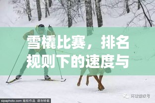 雪橇比賽，排名規(guī)則下的速度與激情角逐