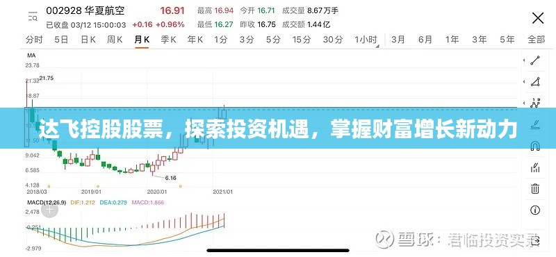 達(dá)飛控股股票，探索投資機(jī)遇，掌握財(cái)富增長新動力