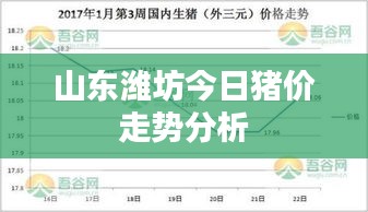 山東濰坊今日豬價(jià)走勢分析