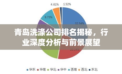 青島洗滌公司排名揭秘，行業(yè)深度分析與前景展望