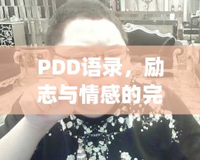 PDD語錄，勵志與情感的完美交融之道