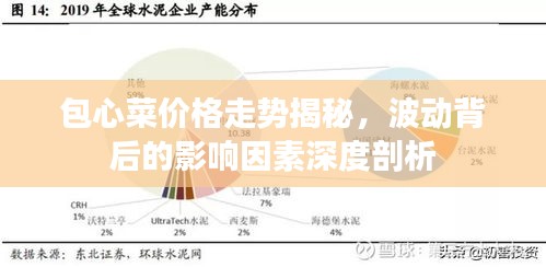 包心菜價(jià)格走勢揭秘，波動(dòng)背后的影響因素深度剖析