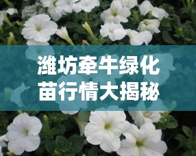 濰坊牽牛綠化苗行情大揭秘，最新價格分析與趨勢預(yù)測