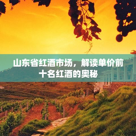 山東省紅酒市場，解讀單價前十名紅酒的奧秘