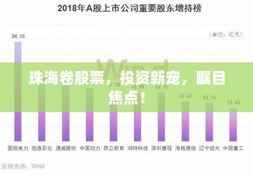 珠海卷股票，投資新寵，矚目焦點(diǎn)！